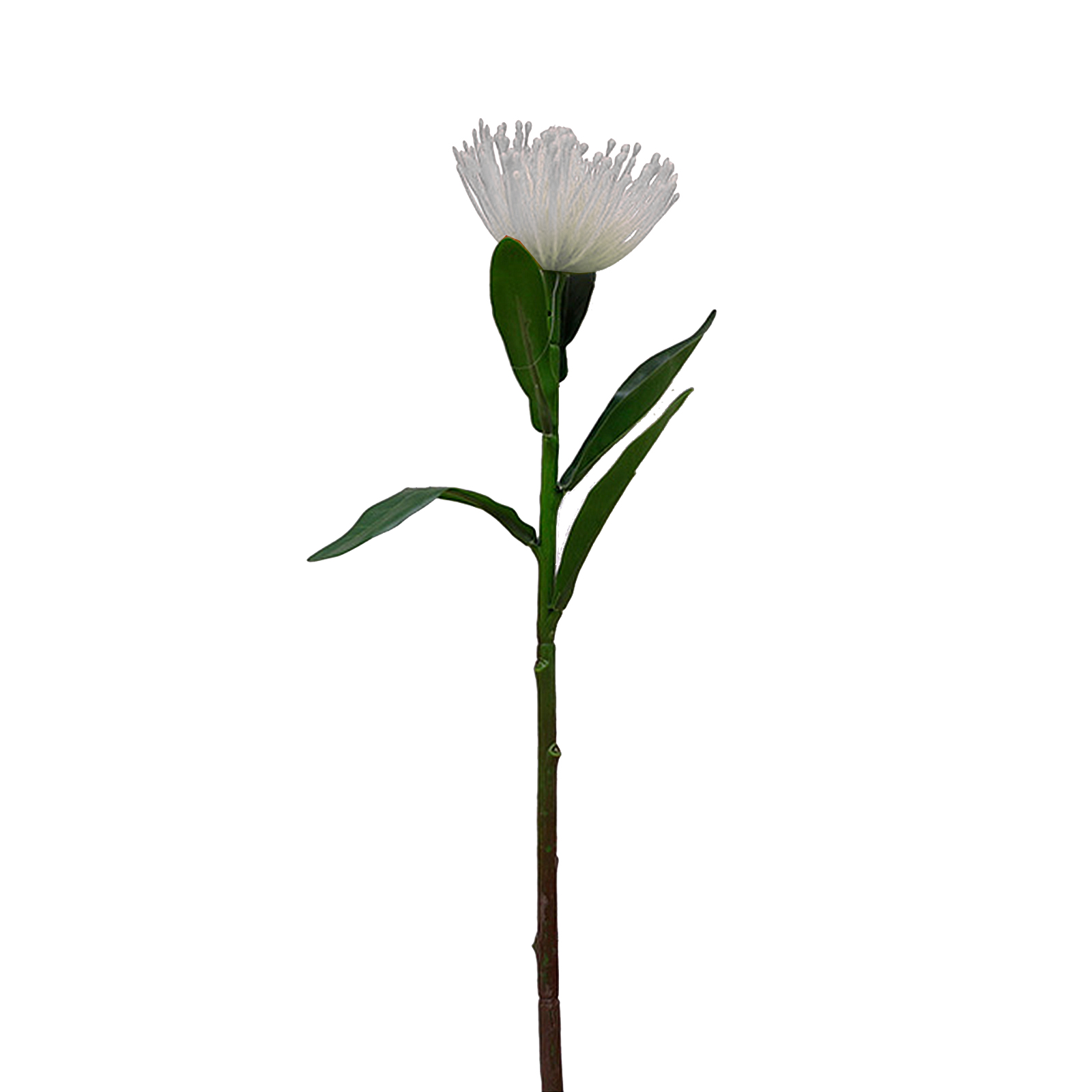 (12 Stück Pro Packung) Kurzstielige Künstliche Blumen Mit Blättern, Ideal Für Wohnzimmer, Esstisch Und Hochzeitsdekoration (rot)