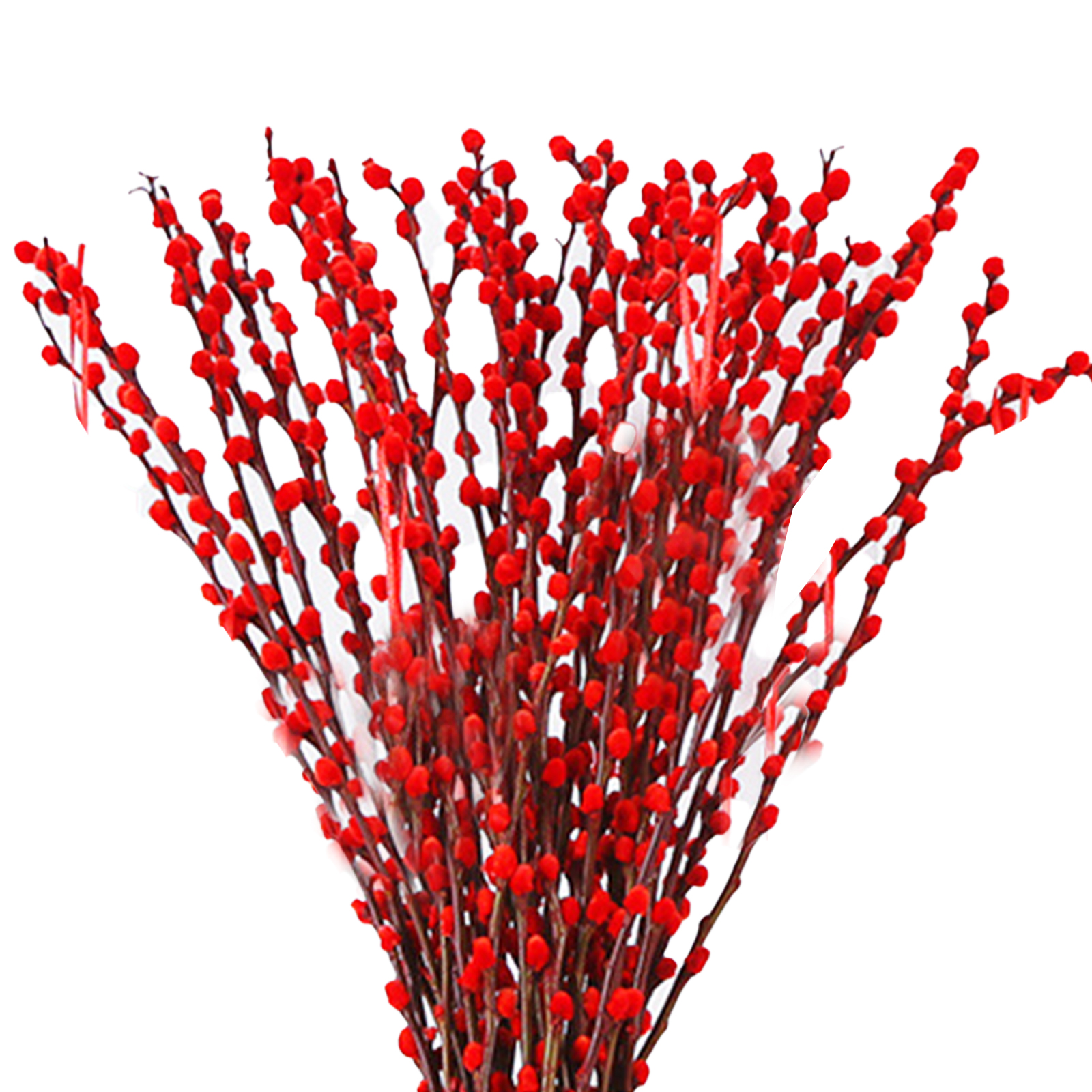 (40er-packung) 40 Getrocknete Silberweidenzweige, Echte Frische Blumen, Zur Wohnzimmerdekoration, Rote Blumen Zum Chinesischen Neujahr, Hydrokulturpflanzen, Getrocknete Rote Weidenzweige Für Den Innen