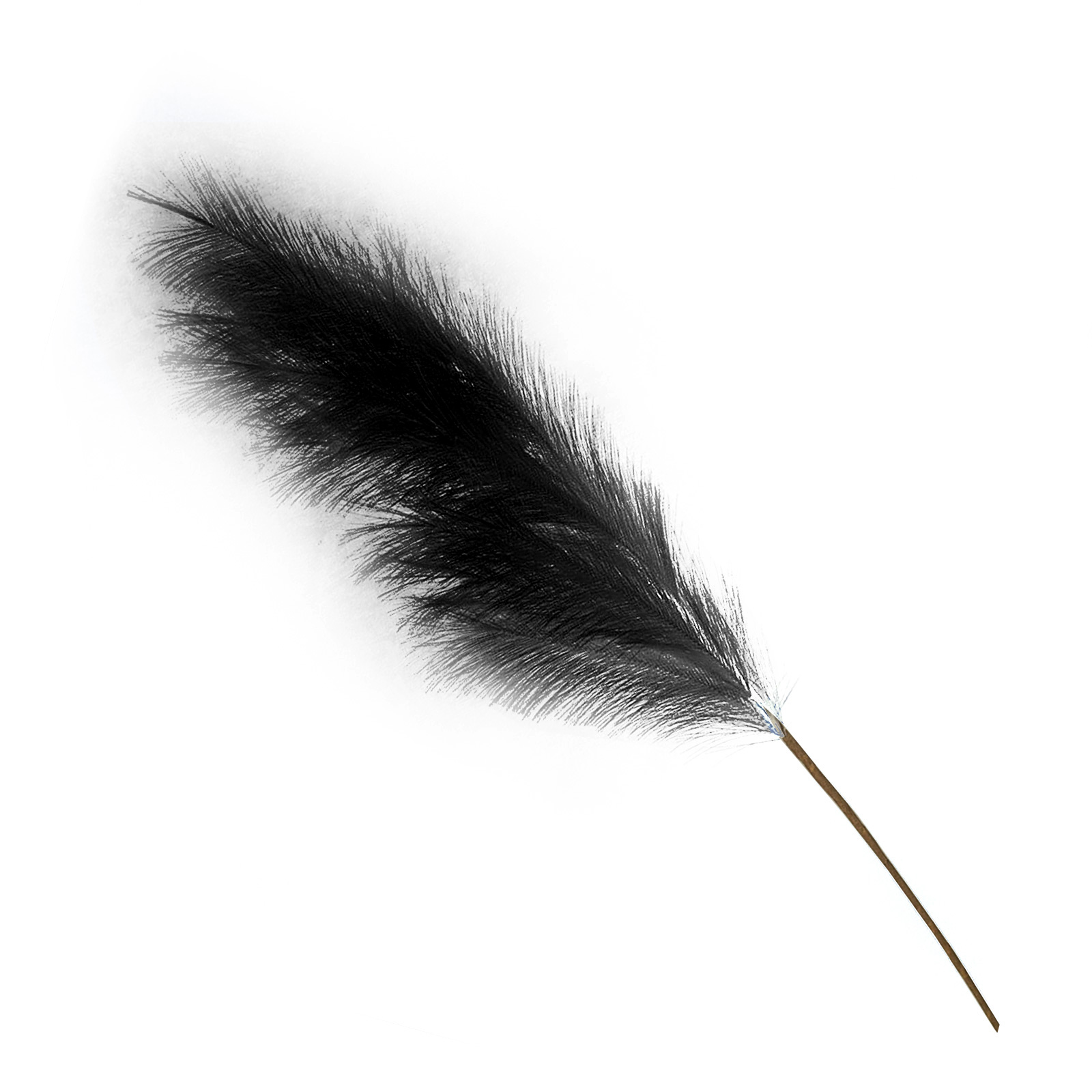 Hohes Und Voluminöses Künstliches Pampasgras, Schwarz, Ideal Zum Befüllen Von Vasen, Zur Dekoration Eines Schlafzimmers Oder Einer Hochzeit.