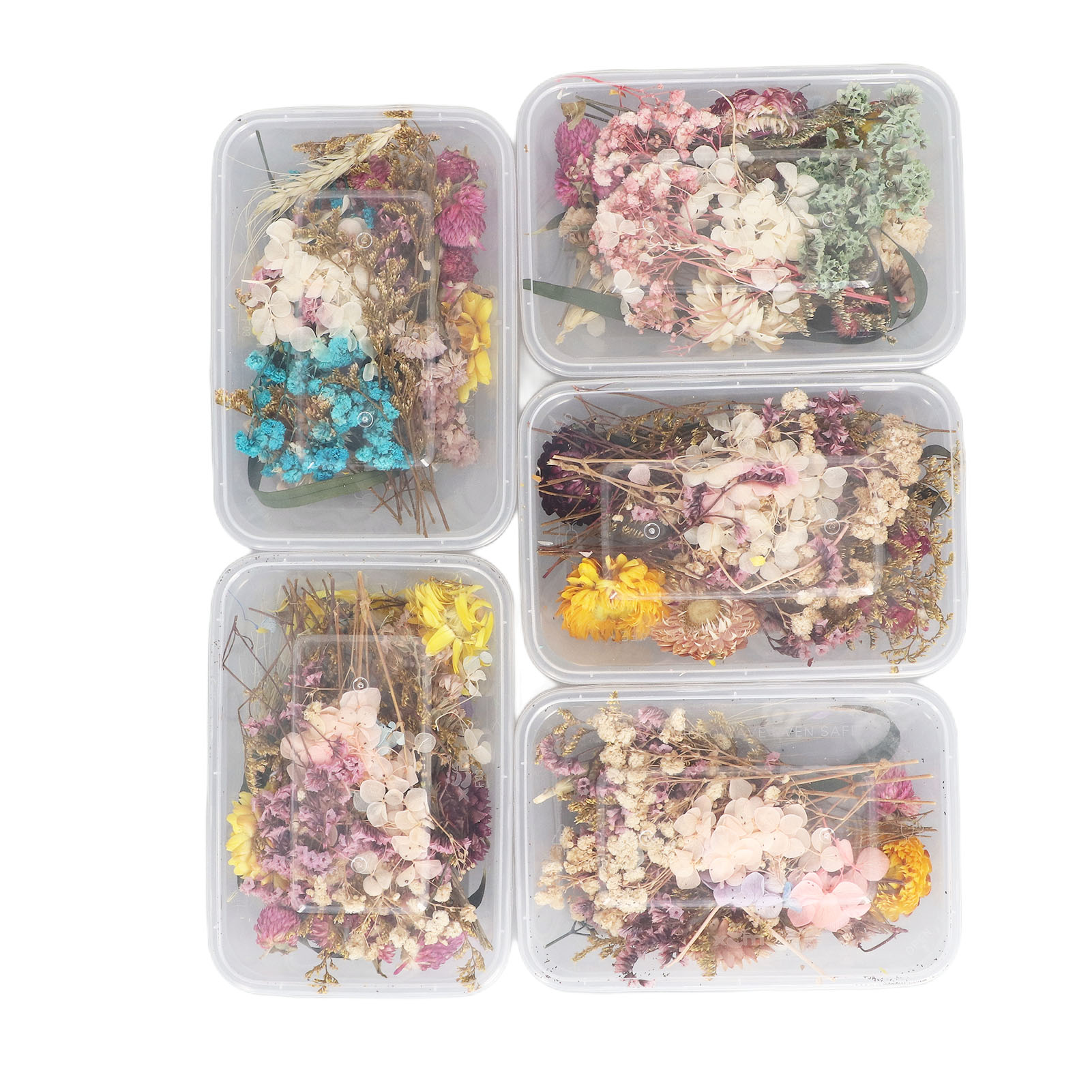 Diy-set Für Konservierte Blumen