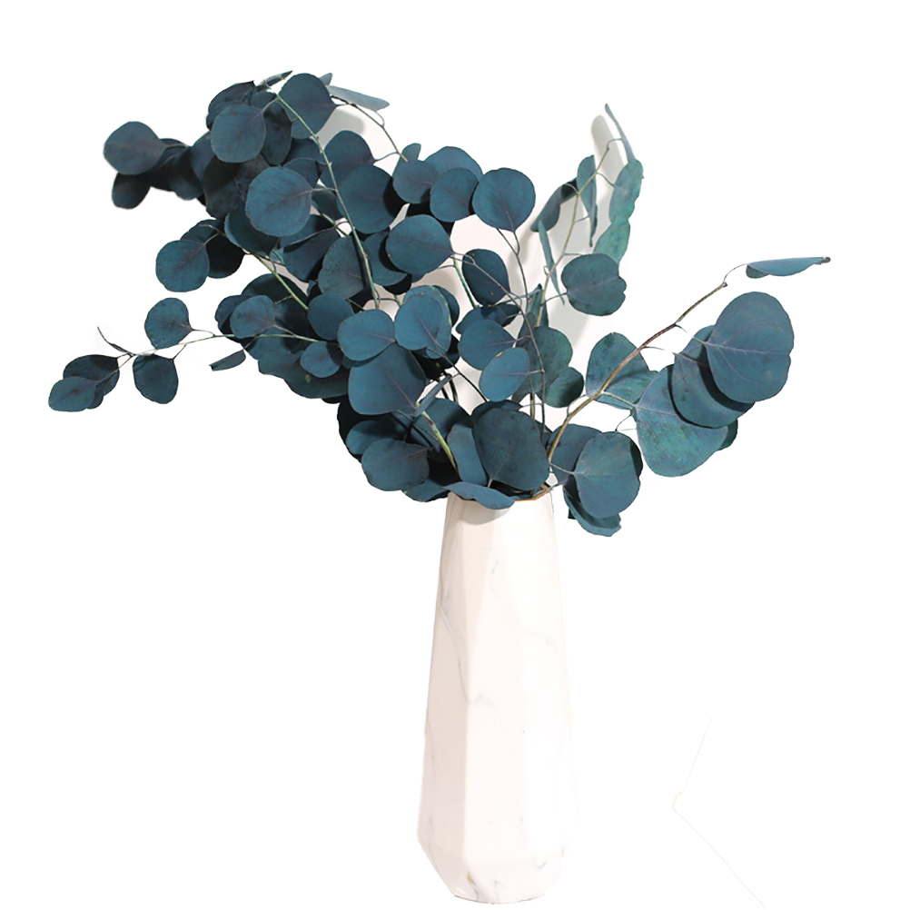 Getrocknete Eukalyptusblüten, Ewige Haltbarkeit, Trockenblumenstrauß, Dekoration Für Zuhause Und Wohnzimmer