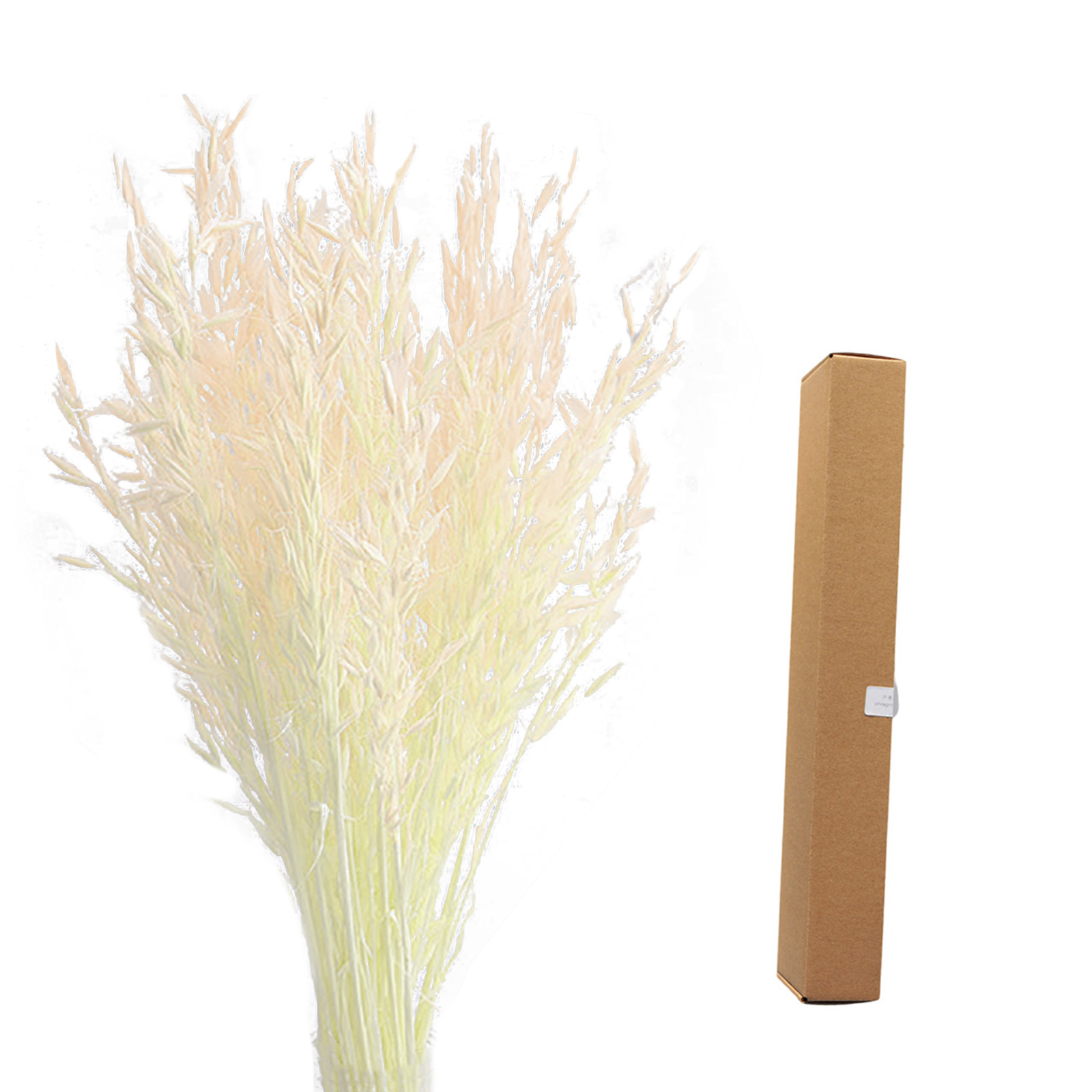 (auf Ca. 45 Cm Zugeschnitten Und In Einem Karton Mit Den Maßen 45 X 5 X 7 Cm Verpackt 50 Weiße Haferblüten) Getrocknete Haferblüten/naturblüten/länge Ca. 40-45 Cm, Abweichungen Aufgrund Manuellen Zusc