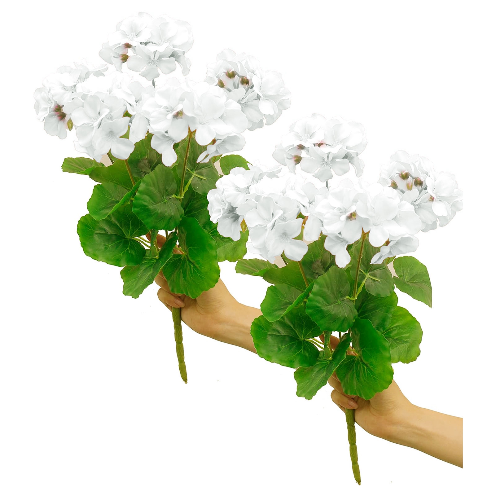 Set Aus 2 Künstlichen Weißen Seidengeranien, 35 Cm (14 Zoll), Perfekt Für Hochzeiten, Als Dekoration Für Zuhause Oder Das Wohnzimmer.