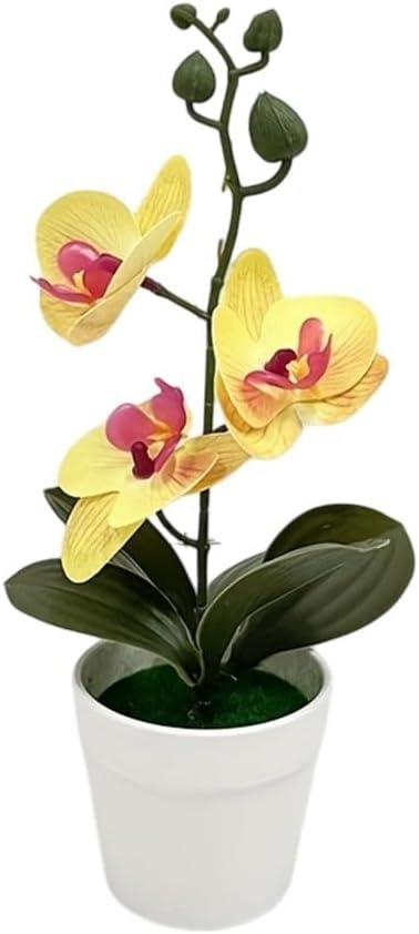 Künstliche Phalaenopsis-orchidee, 25 Cm, Realistischer Kunststoff (gelb)