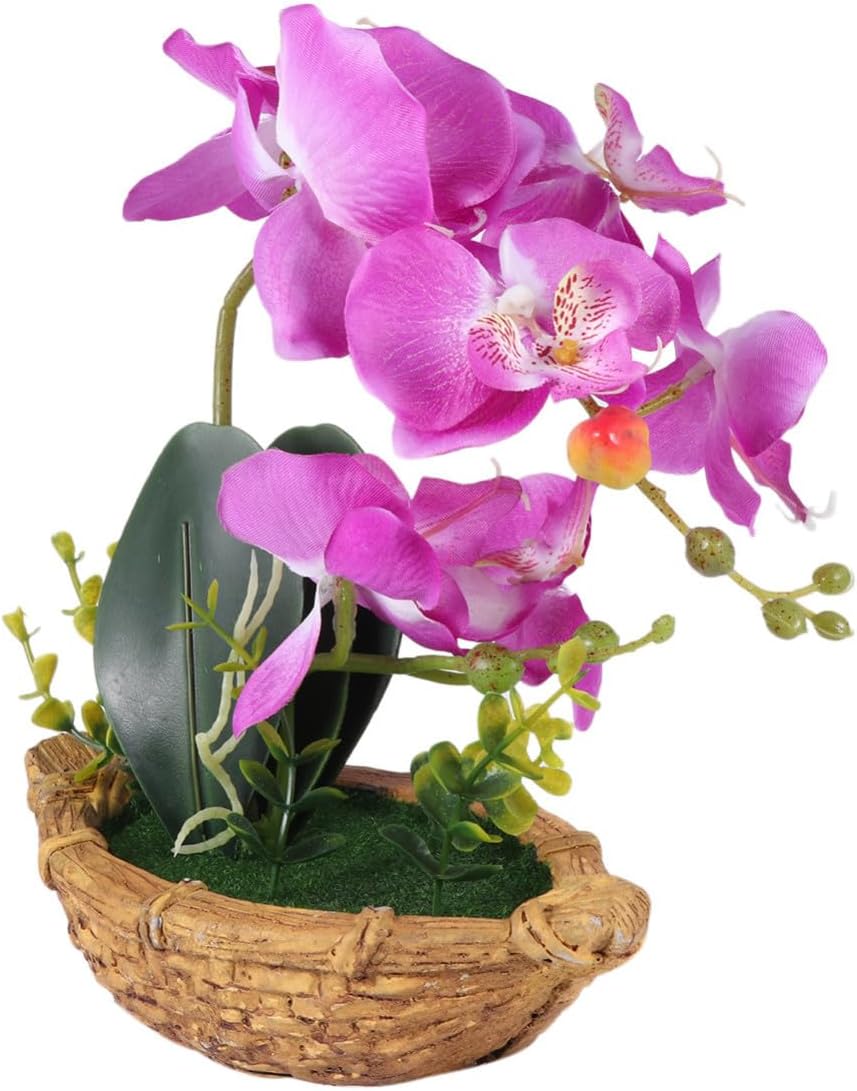 Künstliche Lila Seidenorchidee Als Bonsai Im Dekorativen Topf, Kein Gießen Erforderlich, Robust, Für Büro Und Zuhause, Natürliches Design Und Feine Verarbeitung