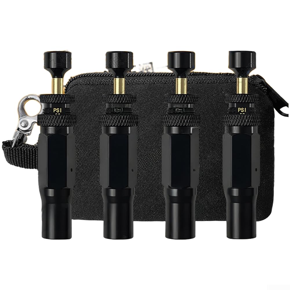 Präzise Druckregelung 10 Bis 30 Psi (b)