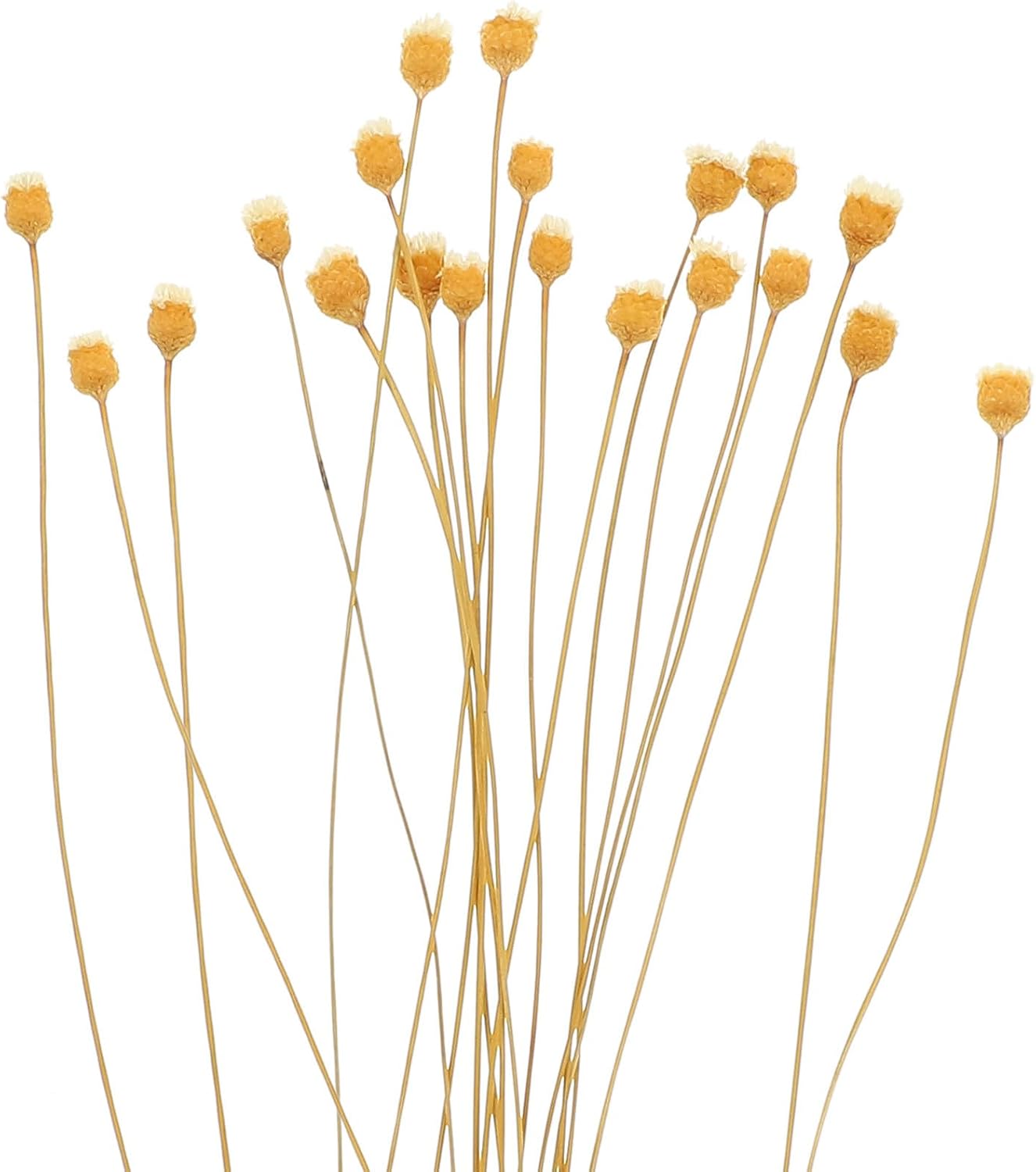 20 Stück Diffusorstäbchen Aus Holz Mit Blumendesign Zur Aufnahme Ätherischer Öle Und Duftverteilung In Wohnzimmer Und Küche