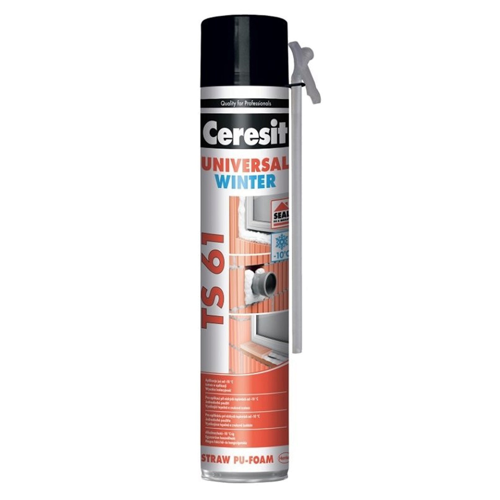 Bauschaum, PU-Schaum von Ceresit - TS61 STD WINTER 1 x 750ml