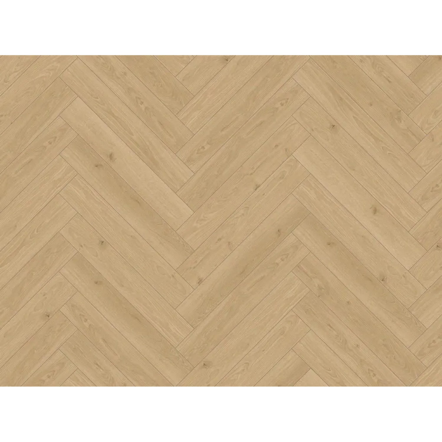 Parador Laminat Trendtime 3 Kamille Fischgrät