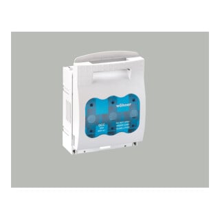 schalk Halter 33409