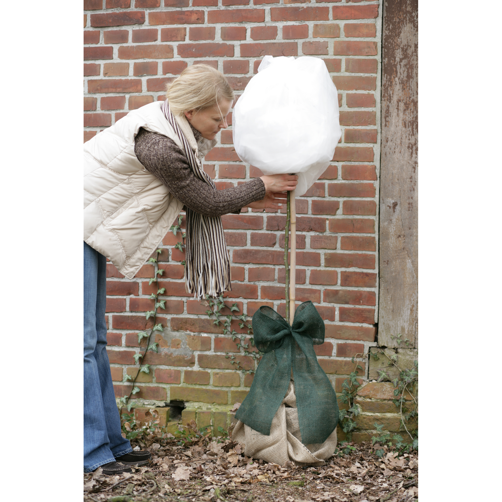 Rosenhaube beige 75 x 80 cm, 3 er Set