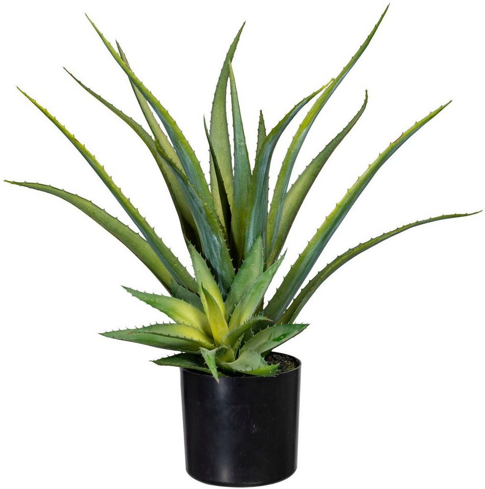 Künstliche Zimmerpflanze Deko-Sukkulente Aloe Aloe, Creativ green, Höhe 48 cm Bild 2