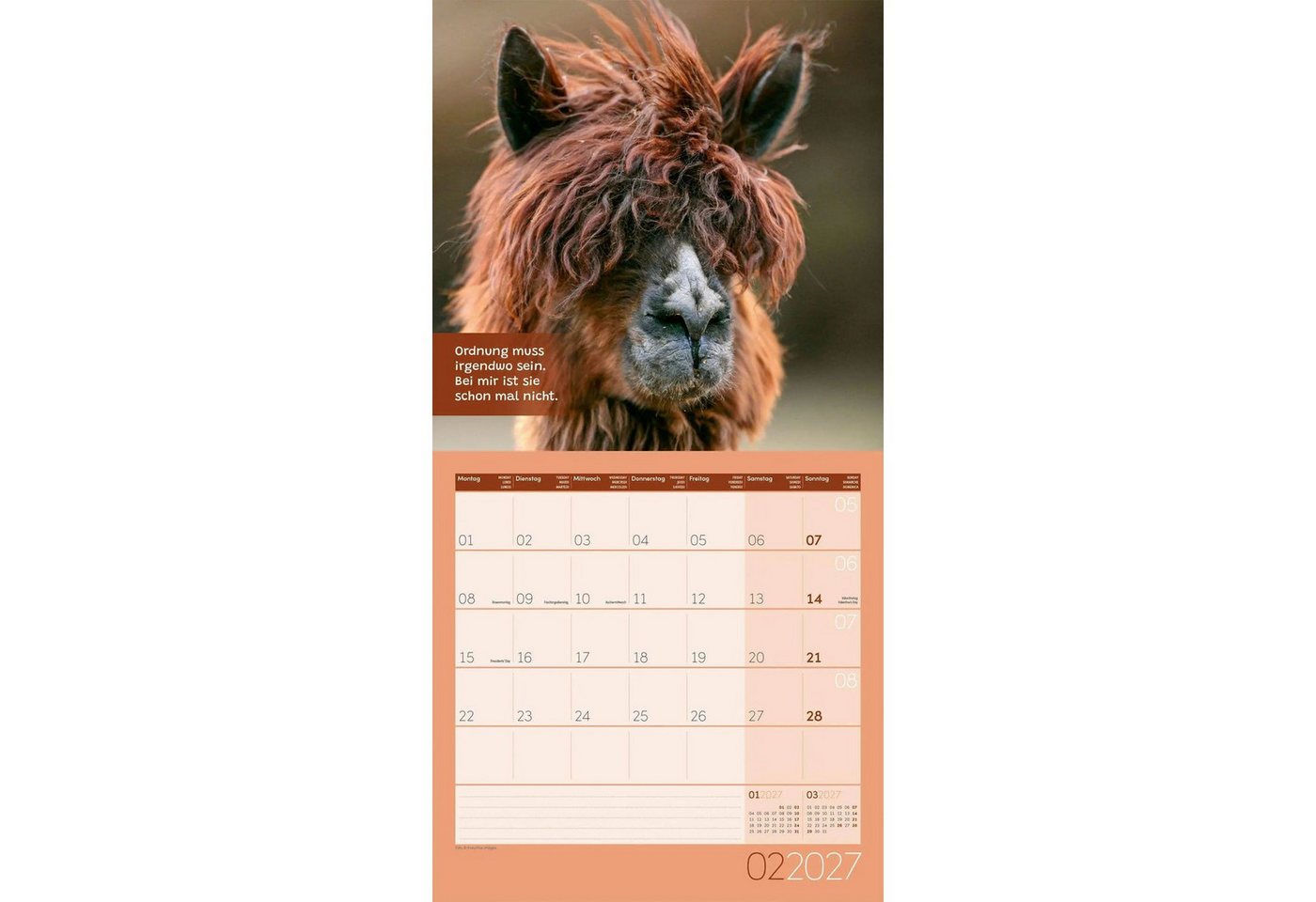 Ackermann Wandkalender No Drama, Lama Kalender 2027 - 30x30 - Art12