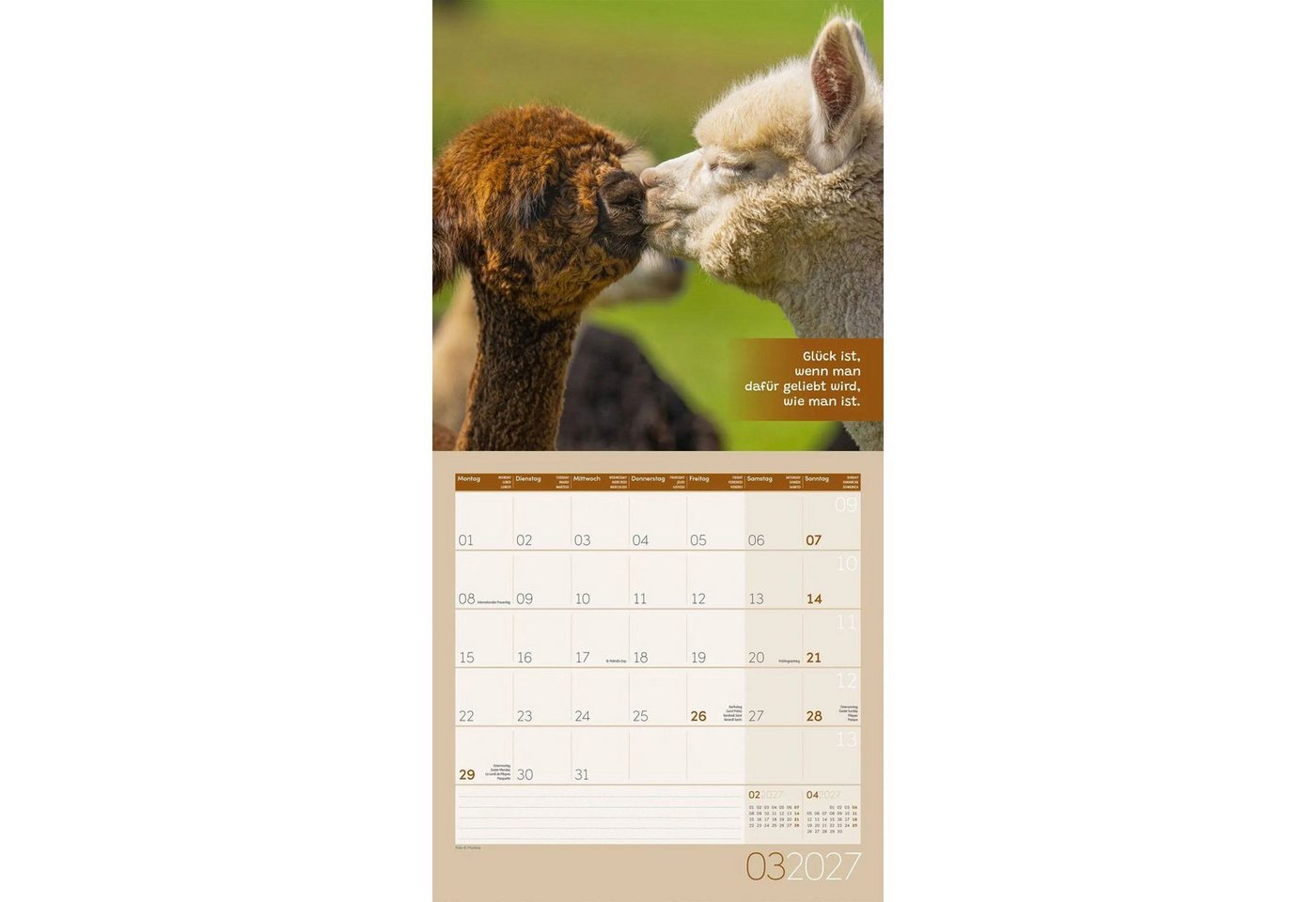 Ackermann Wandkalender No Drama, Lama Kalender 2027 - 30x30 - Art12 Bild 2