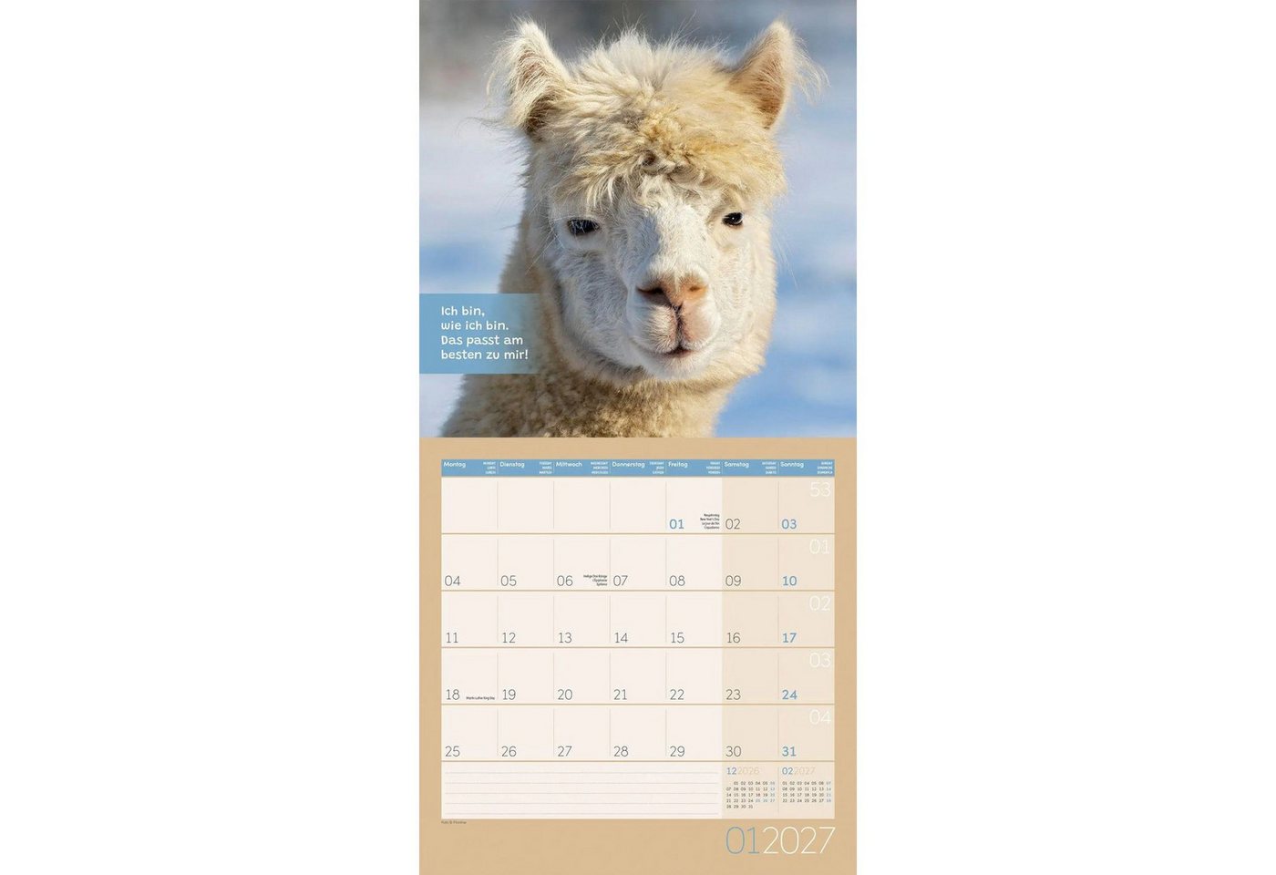 Ackermann Wandkalender No Drama, Lama Kalender 2027 - 30x30 - Art12 Bild 3