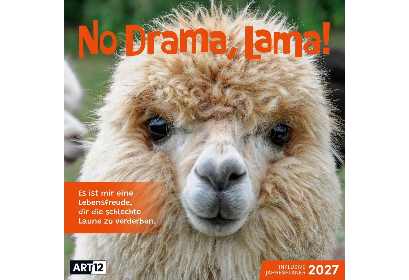 Ackermann Wandkalender No Drama, Lama Kalender 2027 - 30x30 - Art12 Bild 4