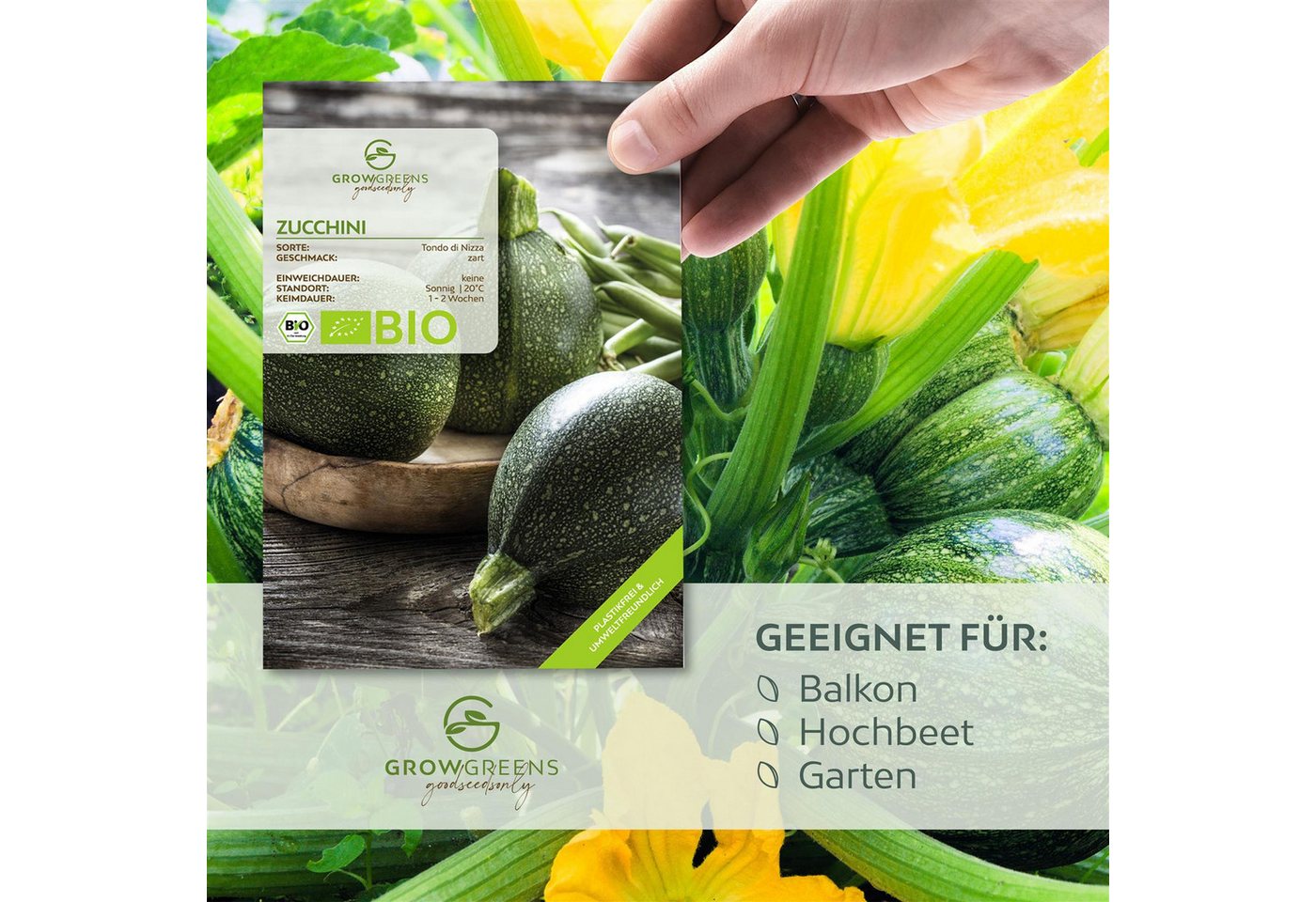 Growgreens Gemüsesamen BIO Zucchini Samen Rund (Tondo di Nizza) - Zucchini Saatgut (5 Korn), Zucchini Bild 3