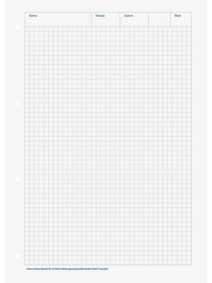 Baier & Schneider Collegeblock Block kariert 5 mm A4 50 Blatt Bild 2