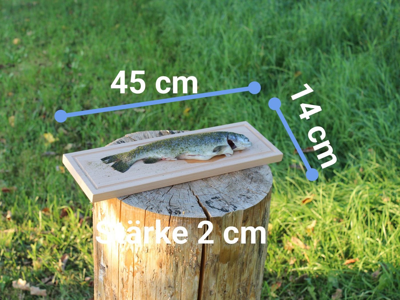 Schilling Fischgrilltechnik Grillguthalter Grillbrett Buche XXL für Fischfilet und ganze Fische, Buche naturbelassen, (Einzelbrett, Grillbrett mit Anleitung), handbearbeitetes Buchengrillbrett mit 20mm Stärke, made in Germany Bild 3