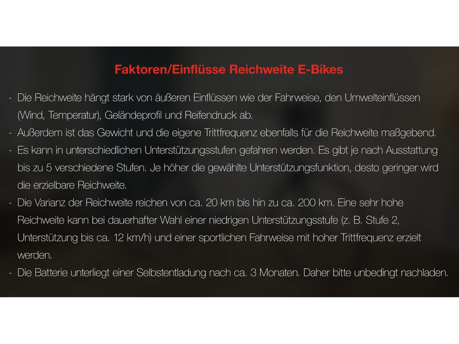 TELEFUNKEN Expedition XT480 / XT481 Trekking E-Bike 28 Zoll (Herre) Bild 3