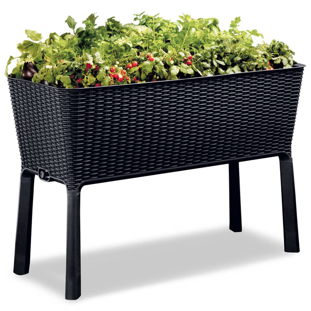 Keter Easy Growing Pflanzkübel Anthrazit 120 Liter