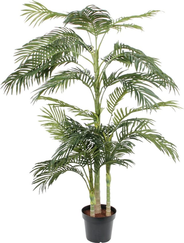 Mica Decorations - Mica Areca Palme Im Plastik Topf Grün, 190 X 145 Cm Kunstpflanzen