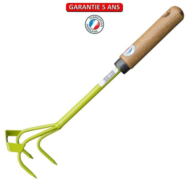 Kleines Modell Pickerkralle Mit Schaber Outils Perrin