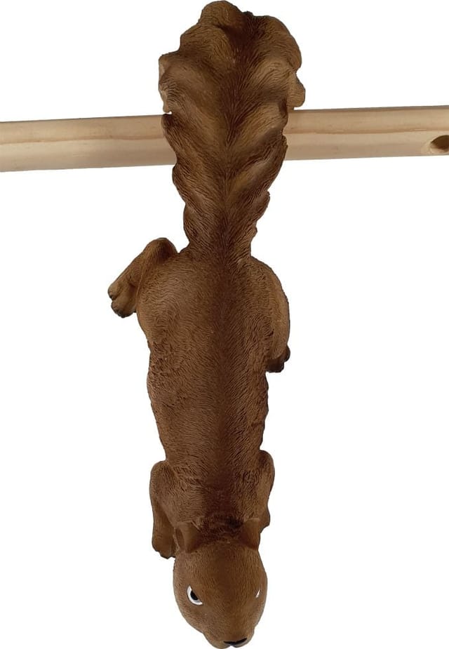 Fd - Figurendiscounter Eichhörnchen Dekofigur 31x10x10cm Figur Polyresin Wetterfest