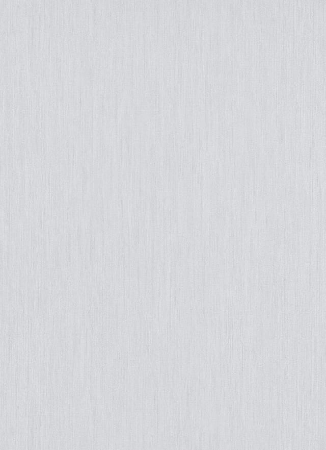 Erismann Vliestapete 10034-10 Tresor Uni Grau 10,05 X 0,53 M Vliestapeten