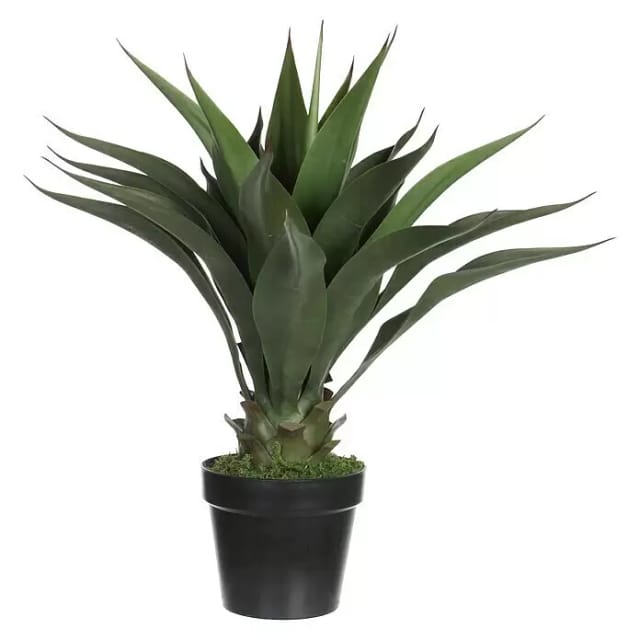 Mica Künstliche Agave Im Topf Grün 60 X Ø 25 Cm Künstliche Pflanze
