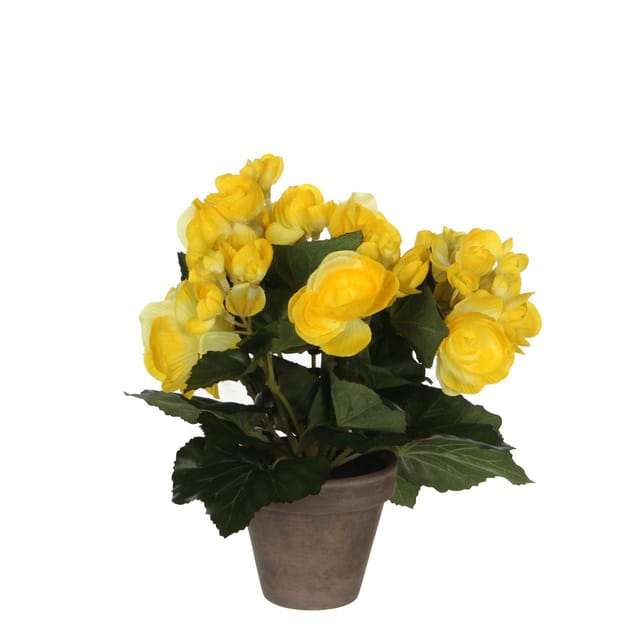 Mica Decorations - Mica Begonia Im Topf Gelb, 25 X 20 Cm Kunstpflanzen
