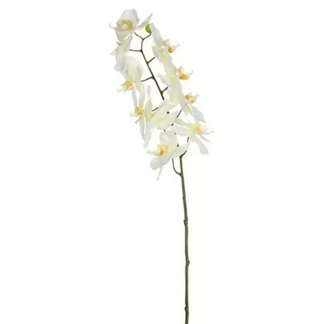 Mica Decorations - Mica Künstliche Phalaenopsis Weiß 71 Cm Kunstpflanzen