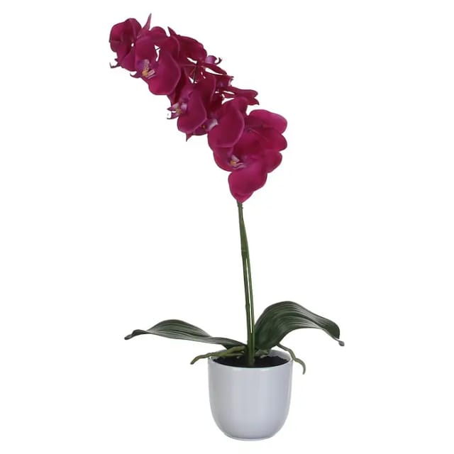 Mica Decorations - Mica Kunstpflanze Phalaenopsis Im Topf Violett, 60 X 16 Cm Kunstpflanzen