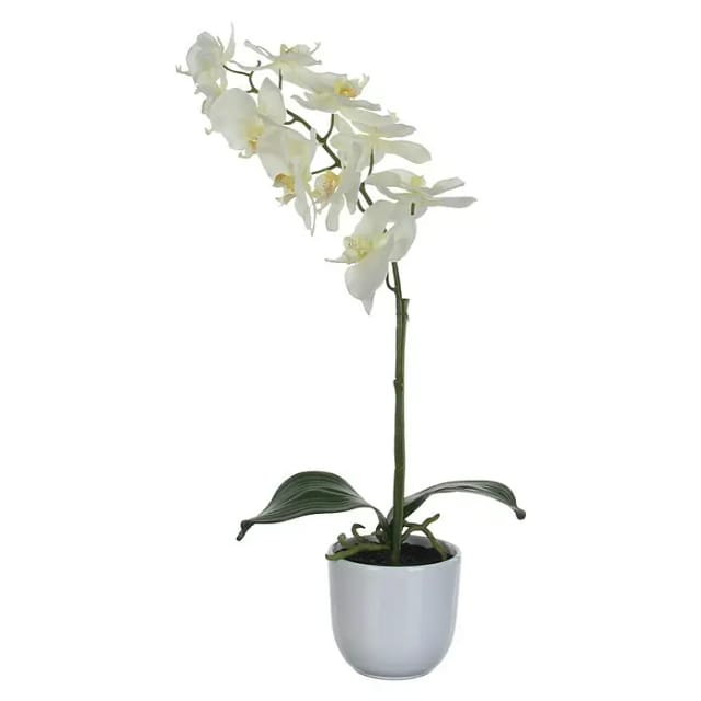 Mica Decorations - Mica Kunstpflanze Phalaenopsis Im Topf Weiß, 60 X 16 Cm Kunstpflanzen