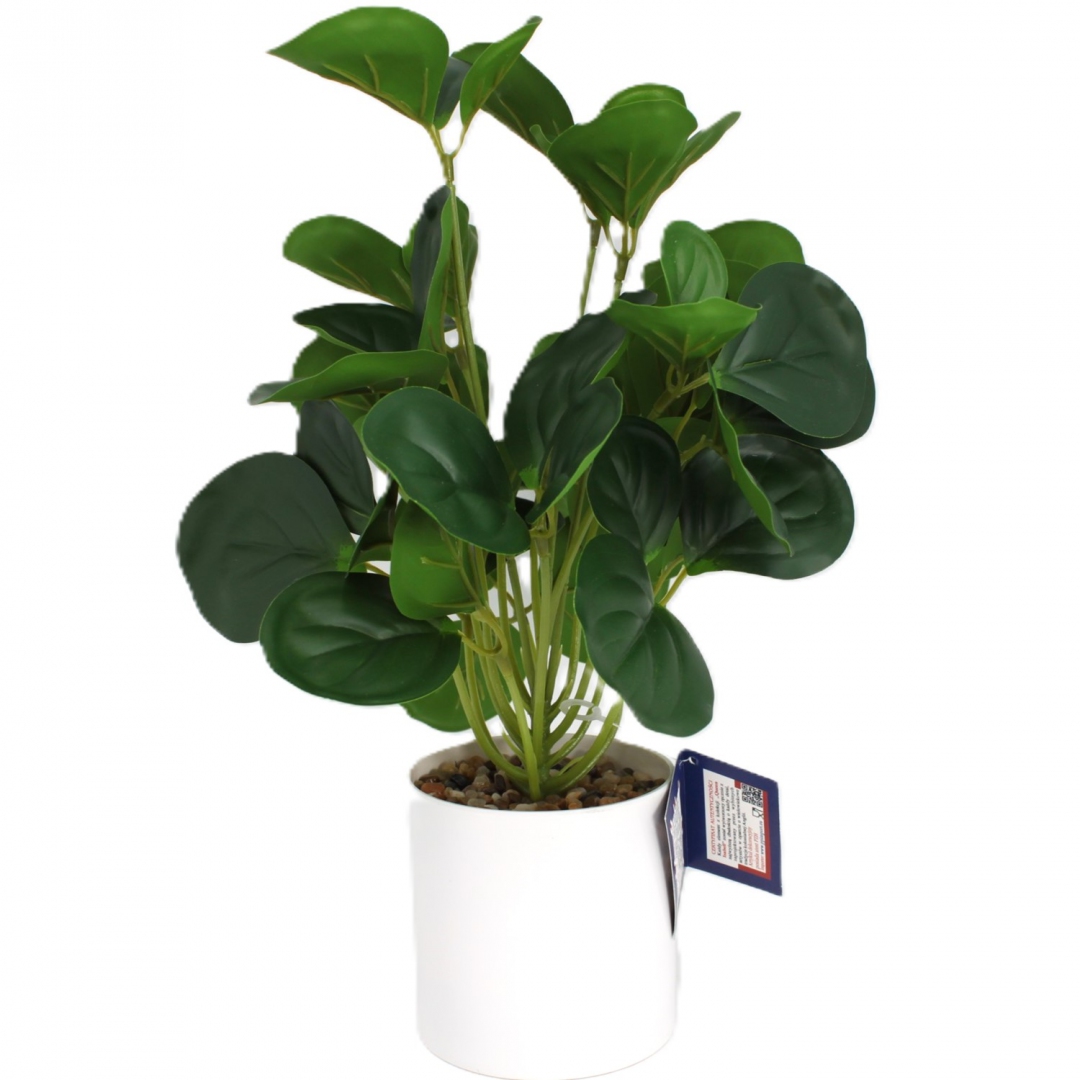 Künstlicher Ficus Im Weißen Topf – Innendekoration