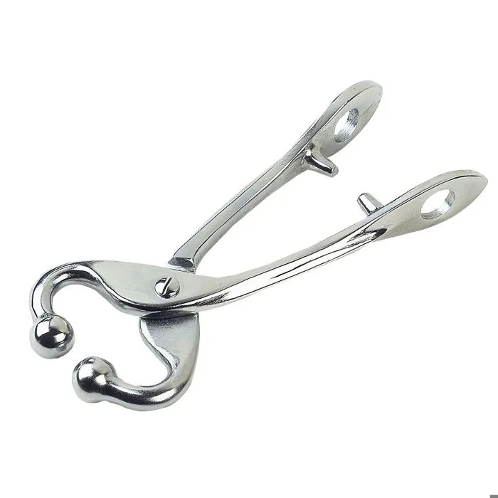 Pince Kamer Pince Mouchette Ohne Kette Silber