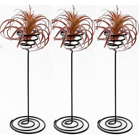 Luftpflanzenständer, Luftpflanzenbehälter-basis, Tisch-blumentopf, Tillandsia-blumentopf-regal – 3-fei Yu