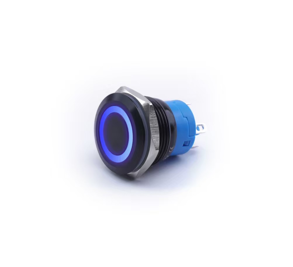 Monostabiler Drucktaster, Schwarz, Vandalensicher, 250 V, 2 A, 19 X 27 Mm, Blau