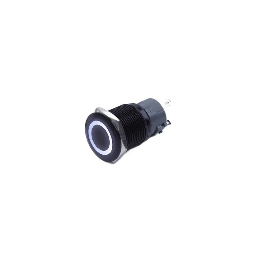 Monostabiler Drucktaster, Schwarz, Vandalensicher, 250 V, 5 A, 19 X 38 Mm, Weiß