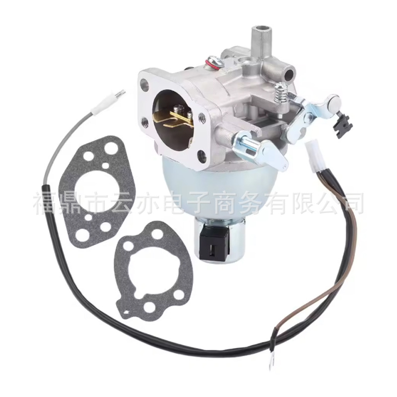 Vergaser Kompatibel Mit 847395 846280 808725 846944 305772-0004-g1
