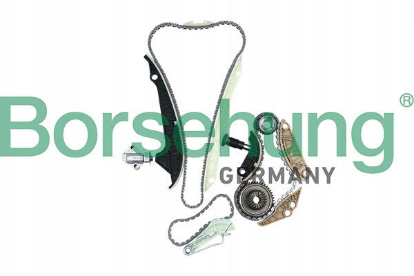 Borsehung Steuerkettensatz 1.8tfsi Kpl Mit Ausgleichswellensatz (mit Rädern)