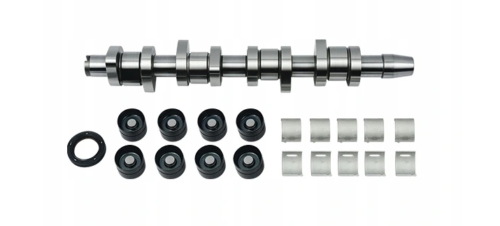 Borsehung Nockenwellen-kit Vw Golf 2.0 01-
