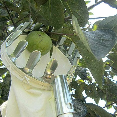 Obstpflücker, Obstpflücker, Obstpflücker Aus Metall Mit Pflückbeutel Zum Pflücken Von Äpfeln, Zitrusfrüchten, Birnen, Pfirsichen, Gartengeräten