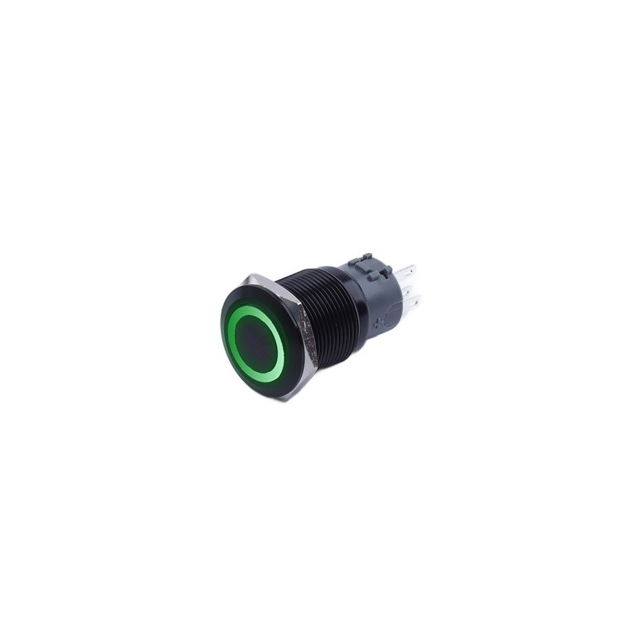 Monostabiler Drucktaster, Schwarz, Vandalensicher, 250 V, 5 A, 19 X 38 Mm, Grün