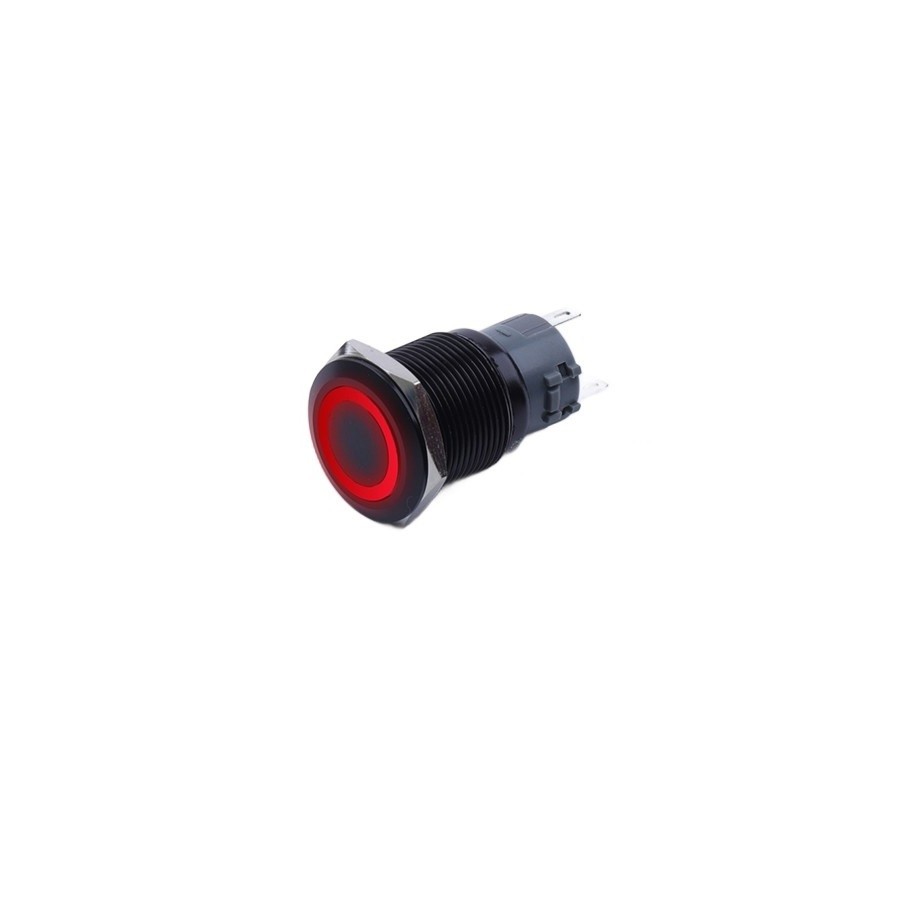Monostabiler Drucktaster, Schwarz, Vandalensicher, 250 V, 5 A, 19 X 38 Mm, Rot
