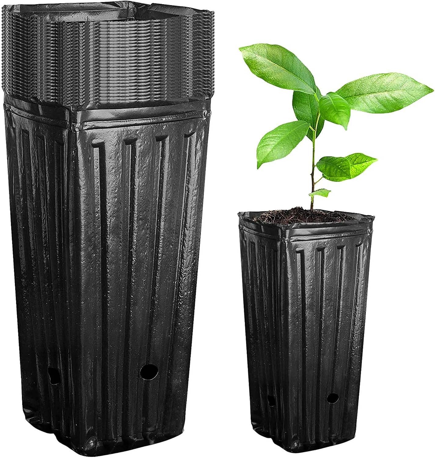 Set Mit 20 Tiefen Kunststoff-anzuchttöpfen Für Pflanzen - 20 Cm Hohe Baumtöpfe, Schwarze Tiefe Sämlingstöpfe Mit Abflusslöchern, Blühende Pflanzen Für Die Anzucht Von Samen In Innenräumen (schwarz)