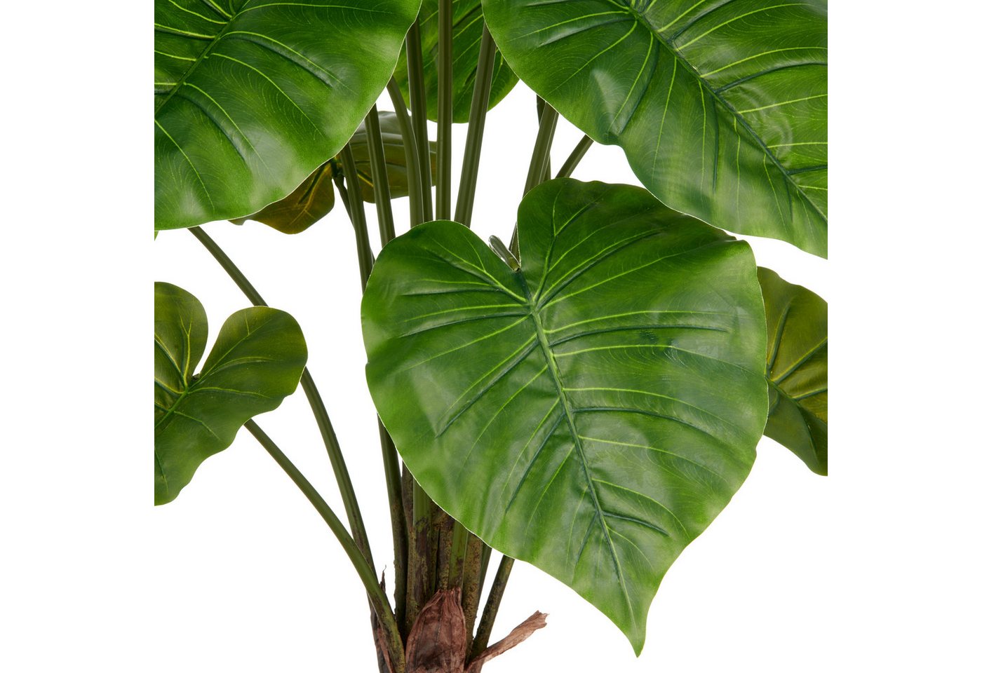 Kunstpflanze Alocasia Wentii, Creativ green, Höhe 100 cm, mit naturgetreuem Blattwerk