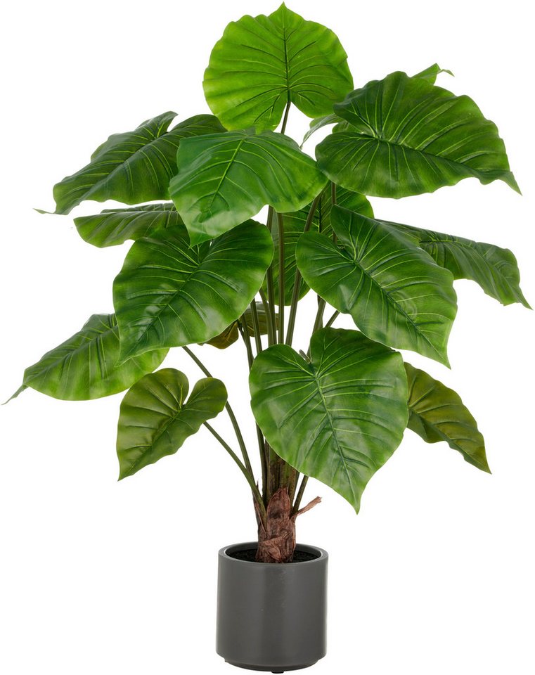 Kunstpflanze Alocasia Wentii, Creativ green, Höhe 100 cm, mit naturgetreuem Blattwerk Bild 2
