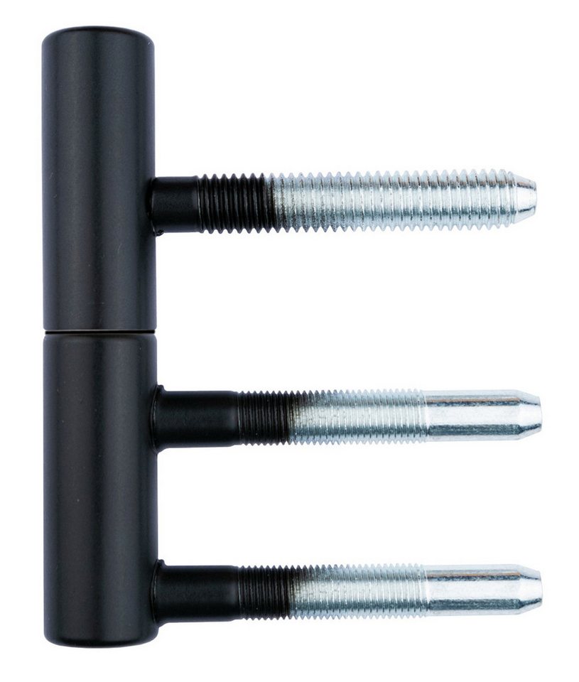 Häusler Onlinehandel GmbH Türbeschlag Türband TB 2064 Schwarz 2-Teilig Pulverbeschichtet (2 St), massiv Stahl hell verzinkt