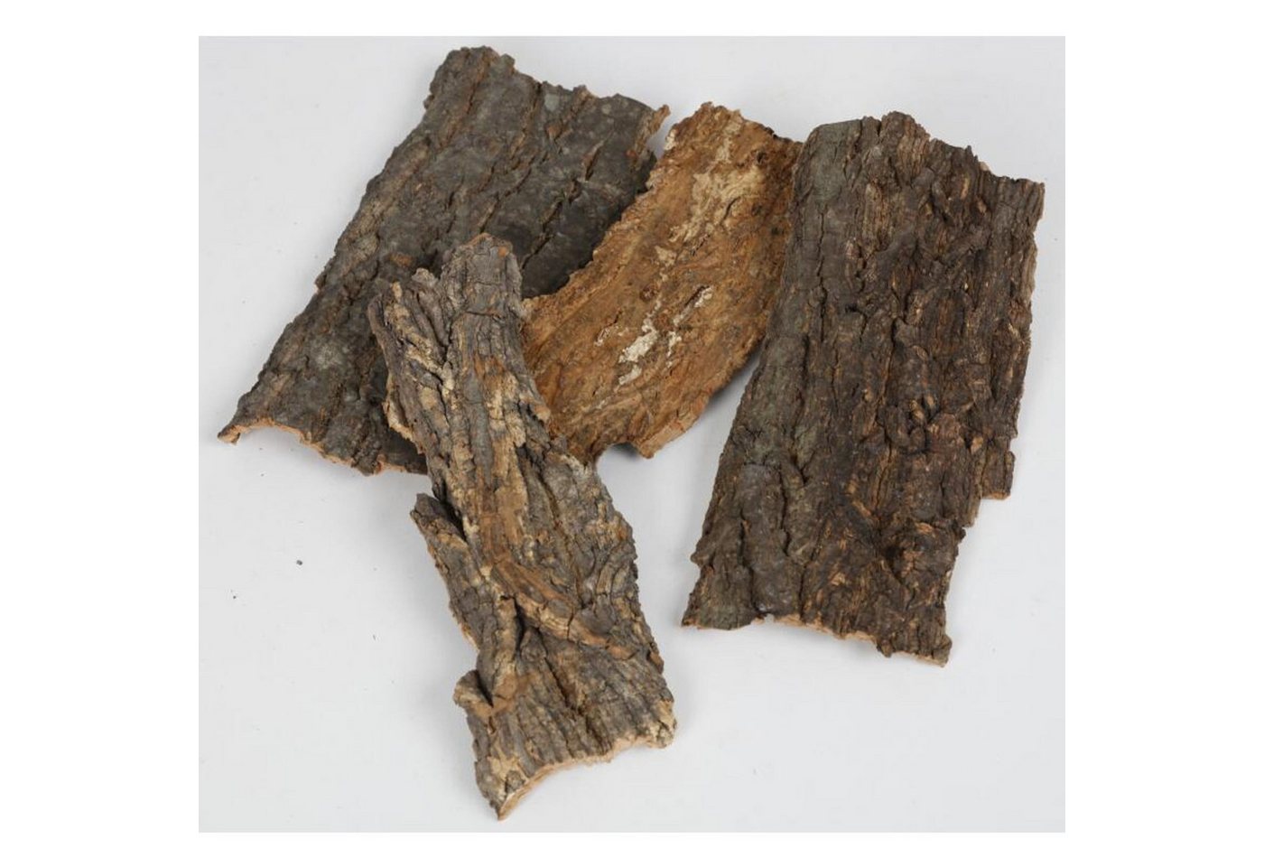 BURI Rindenscheiben Baumrinde Dekoration Basteln Terrarium Holz Tisch Floristin Trocken
